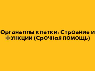 Органеллы клетки: Строение и функции (Срочная помощь)