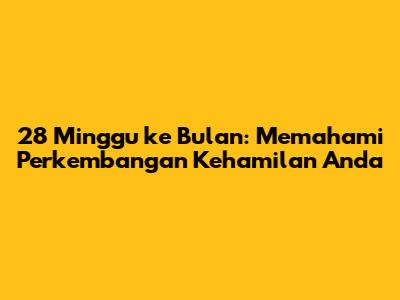 28 Minggu ke Bulan: Memahami Perkembangan Kehamilan Anda