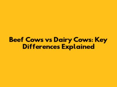 Beef Cows vs Dairy Cows: Key Differences Explained