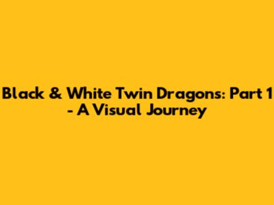 Black & White Twin Dragons: Part 1 - A Visual Journey