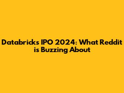 Databricks IPO 2024: What Reddit is Buzzing About