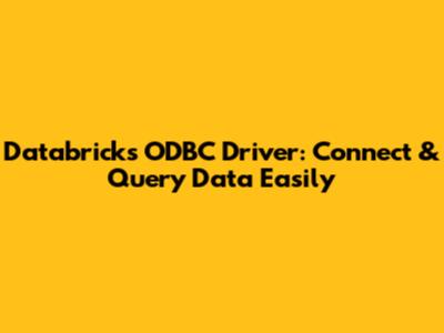 Databricks ODBC Driver: Connect & Query Data Easily