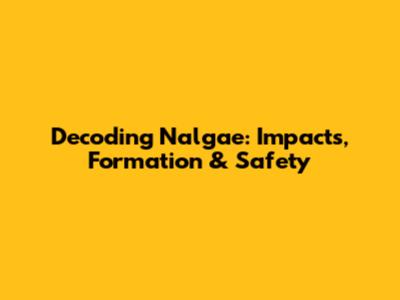 Decoding Nalgae: Impacts, Formation & Safety