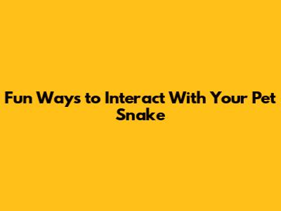Fun Ways to Interact With Your Pet Snake
