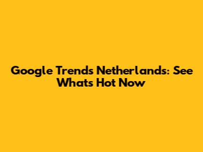 Google Trends Netherlands: See What's Hot Now