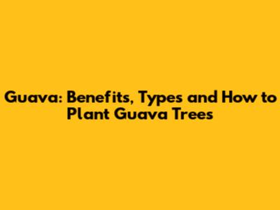 Guava: Benefits, Types and How to Plant Guava Trees