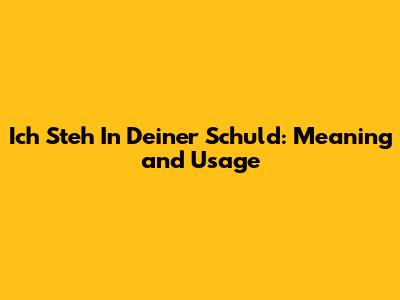 Ich Steh In Deiner Schuld: Meaning and Usage