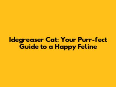 Idegreaser Cat: Your Purr-fect Guide to a Happy Feline