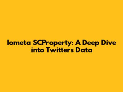 Iometa SCProperty: A Deep Dive into Twitter's Data