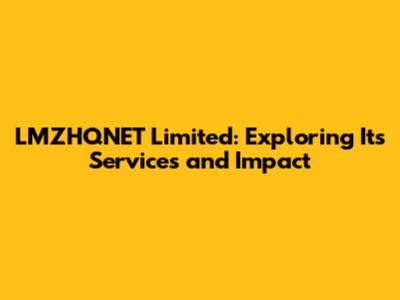 LMZHQNET Limited: Exploring Its Services and Impact