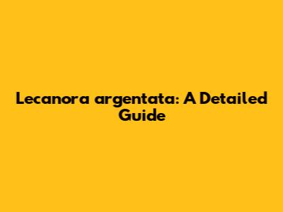 Lecanora argentata: A Detailed Guide