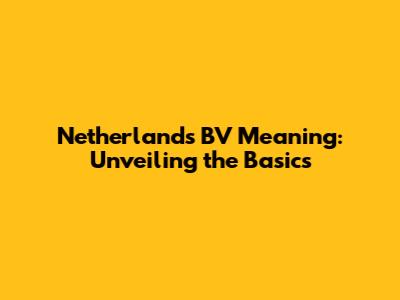 Netherlands BV Meaning: Unveiling the Basics