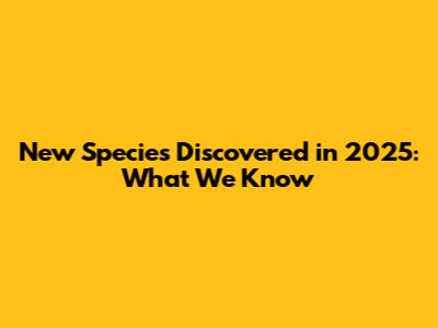 New Species Discovered in 2025: What We Know