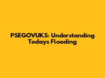 PSEGOVUKS: Understanding Today's Flooding