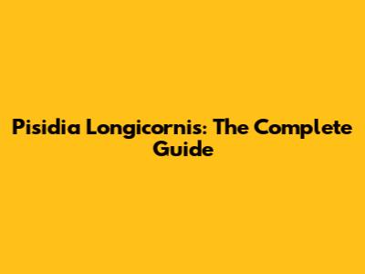 Pisidia Longicornis: The Complete Guide