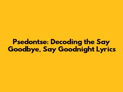 Psedon'tse: Decoding the 'Say Goodbye, Say Goodnight' Lyrics