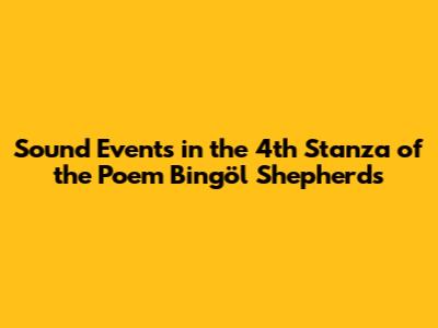 Sound Events in the 4th Stanza of the Poem 'Bingöl Shepherds'