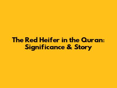 The Red Heifer in the Quran: Significance & Story
