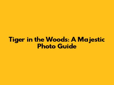 Tiger in the Woods: A Majestic Photo Guide
