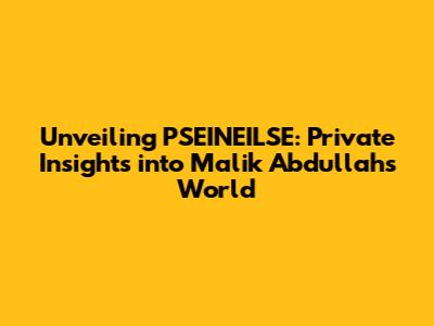 Unveiling PSEINEILSE: Private Insights into Malik Abdullah's World